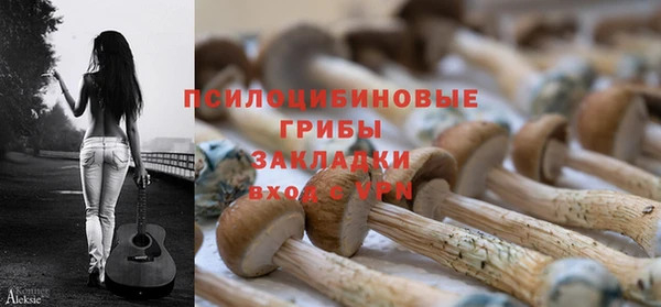 a pvp Аркадак