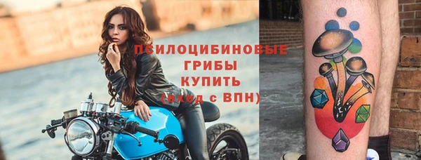 a pvp Аркадак